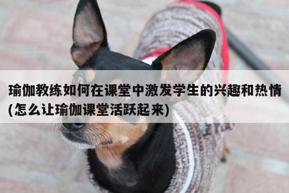 瑜伽教练如何在课堂中激发学生的兴趣和热情(怎么让瑜伽课堂活跃起来)