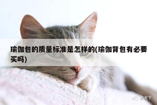 瑜伽包的质量标准是怎样的(瑜伽背包有必要买吗)