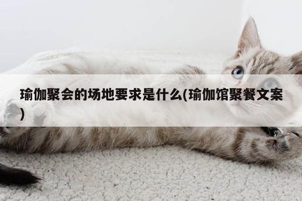 瑜伽聚会的场地要求是什么(瑜伽馆聚餐文案)