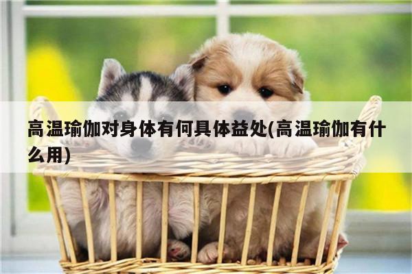 高温瑜伽对身体有何具体益处(高温瑜伽有什么用)