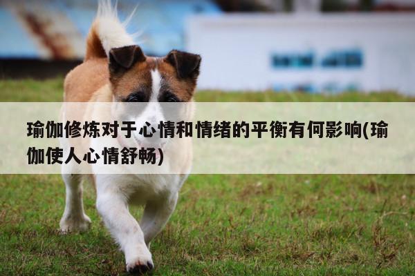 瑜伽修炼对于心情和情绪的平衡有何影响(瑜伽使人心情舒畅)