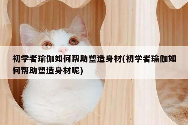 初学者瑜伽如何帮助塑造身材(初学者瑜伽如何帮助塑造身材呢)