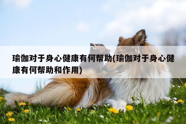 瑜伽对于身心健康有何帮助(瑜伽对于身心健康有何帮助和作用)