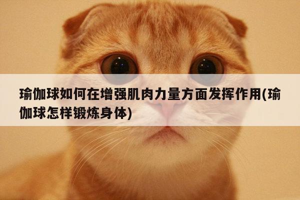 瑜伽球如何在增强肌肉力量方面发挥作用(瑜伽球怎样锻炼身体)