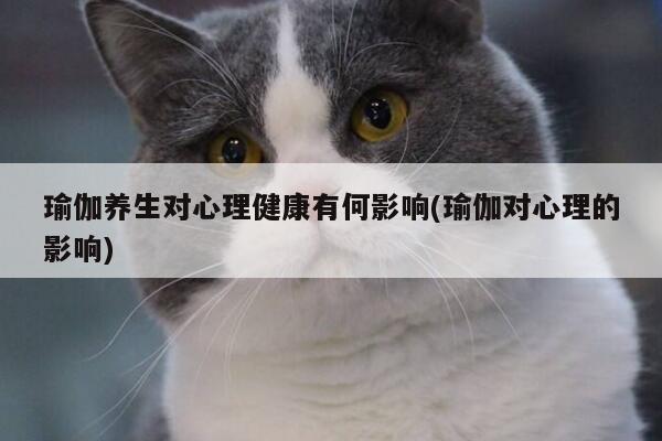 瑜伽养生对心理健康有何影响(瑜伽对心理的影响)