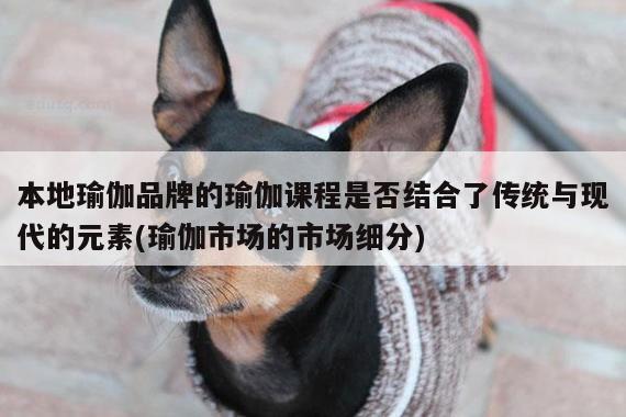 本地瑜伽品牌的瑜伽课程是否结合了传统与现代的元素(瑜伽市场的市场细分)