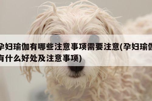 孕妇瑜伽有哪些注意事项需要注意(孕妇瑜伽有什么好处及注意事项)