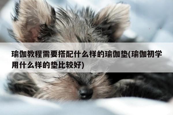 瑜伽教程需要搭配什么样的瑜伽垫(瑜伽初学用什么样的垫比较好)