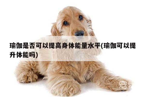 瑜伽是否可以提高身体能量水平(瑜伽可以提升体能吗)