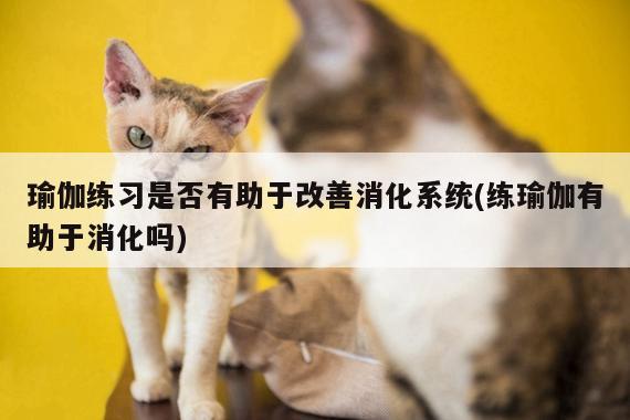 瑜伽练习是否有助于改善消化系统(练瑜伽有助于消化吗)