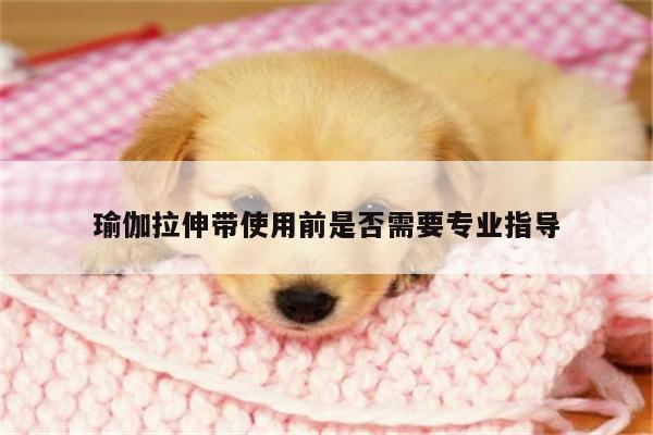 瑜伽拉伸带使用前是否需要专业指导