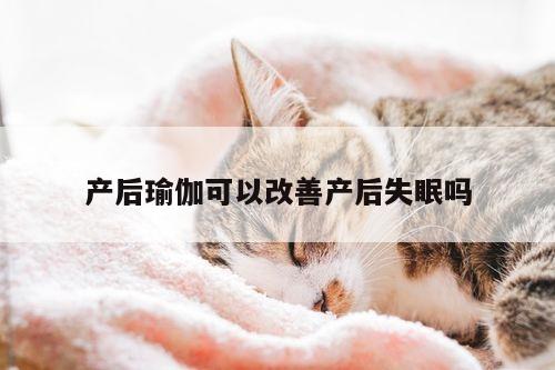 产后瑜伽可以改善产后失眠吗