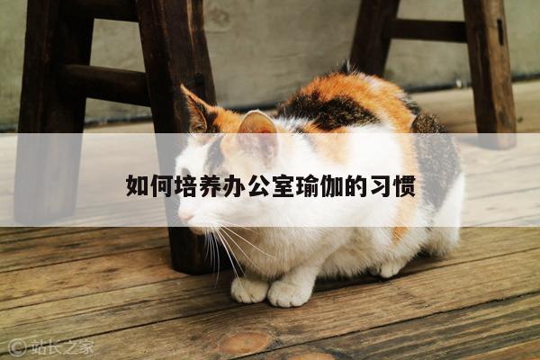 如何培养办公室瑜伽的习惯