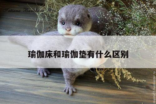 瑜伽床和瑜伽垫有什么区别