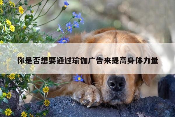 你是否想要通过瑜伽广告来提高身体力量