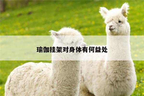 瑜伽挂架对身体有何益处