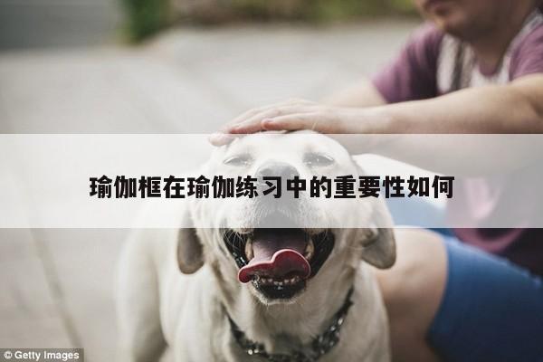 瑜伽框在瑜伽练习中的重要性如何