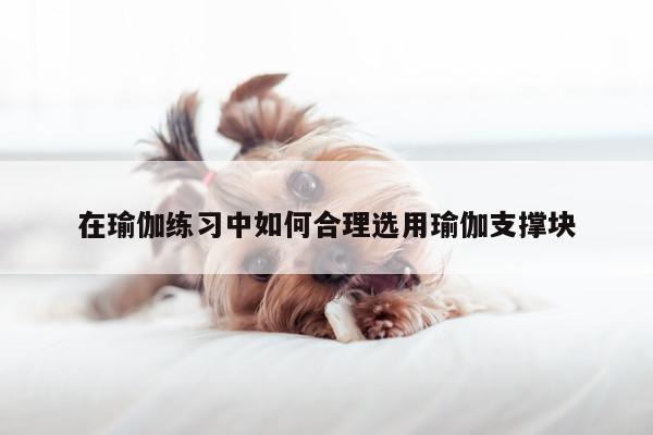 在瑜伽练习中如何合理选用瑜伽支撑块