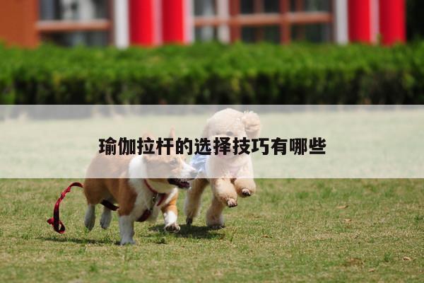 瑜伽拉杆的选择技巧有哪些