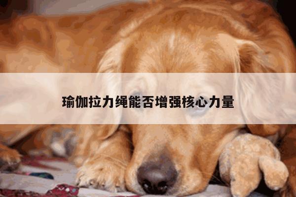 瑜伽拉力绳能否增强核心力量