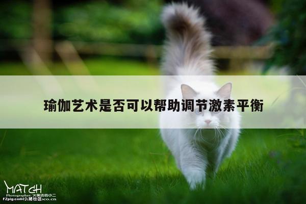 瑜伽艺术是否可以帮助调节激素平衡