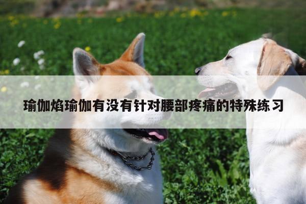 瑜伽焰瑜伽有没有针对腰部疼痛的特殊练习