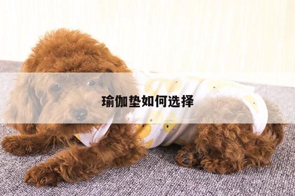 瑜伽垫如何选择