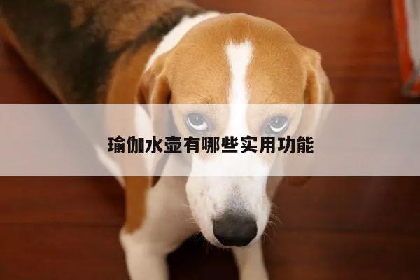 瑜伽水壶有哪些实用功能