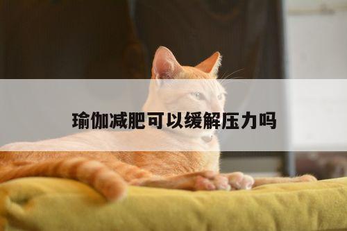 瑜伽减肥可以缓解压力吗