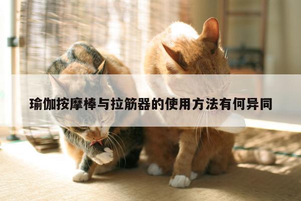 瑜伽按摩棒与拉筋器的使用方法有何异同