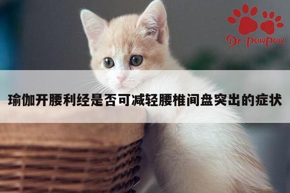 瑜伽开腰利经是否可减轻腰椎间盘突出的症状