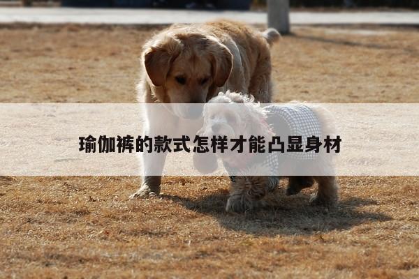 瑜伽裤的款式怎样才能凸显身材