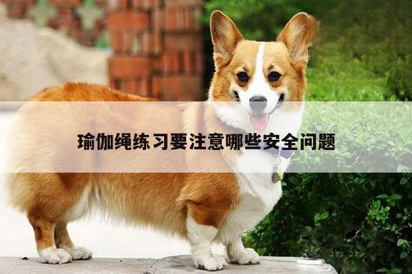 瑜伽绳练习要注意哪些安全问题