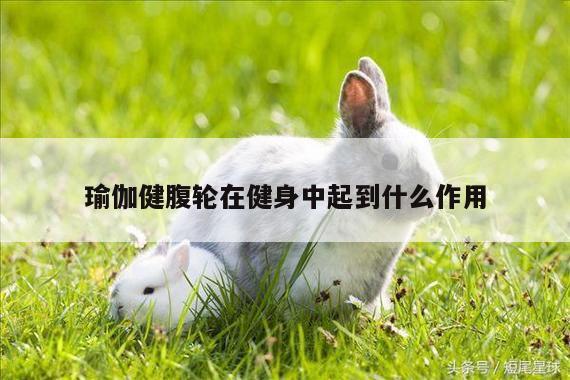 瑜伽健腹轮在健身中起到什么作用