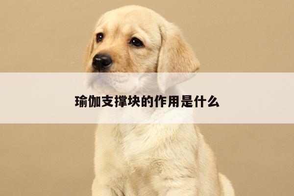 瑜伽支撑块的作用是什么