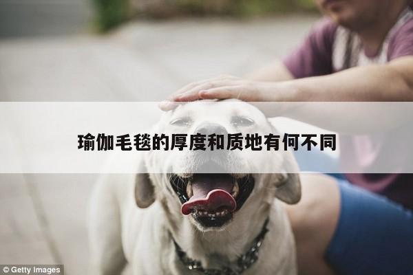 瑜伽毛毯的厚度和质地有何不同