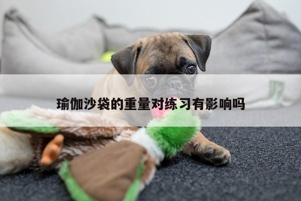 瑜伽沙袋的重量对练习有影响吗
