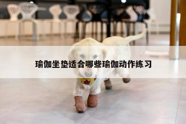 瑜伽坐垫适合哪些瑜伽动作练习