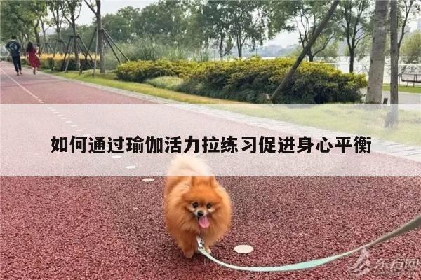 如何通过瑜伽活力拉练习促进身心平衡