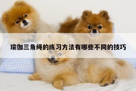 瑜伽三角绳的练习方法有哪些不同的技巧