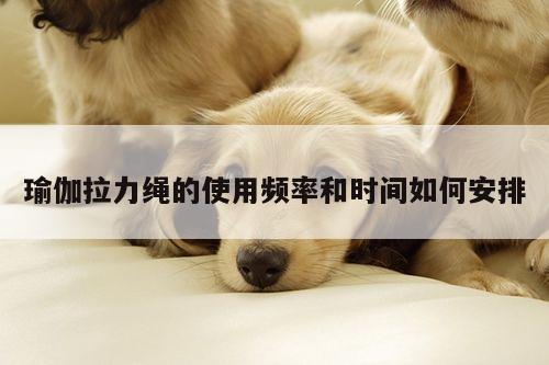 瑜伽拉力绳的使用频率和时间如何安排