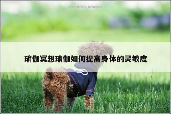 瑜伽冥想瑜伽如何提高身体的灵敏度