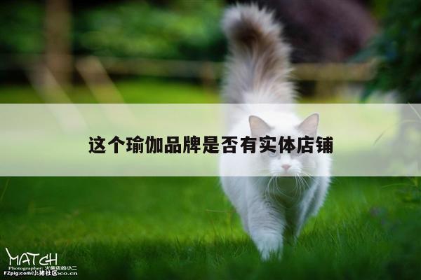 这个瑜伽品牌是否有实体店铺