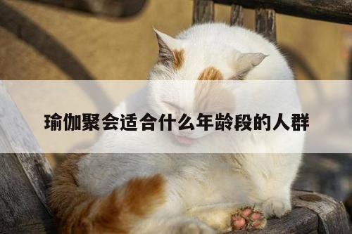 瑜伽聚会适合什么年龄段的人群