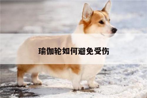 瑜伽轮如何避免受伤