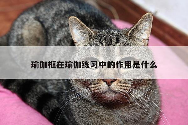 瑜伽框在瑜伽练习中的作用是什么