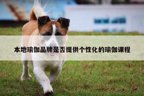 本地瑜伽品牌是否提供个性化的瑜伽课程