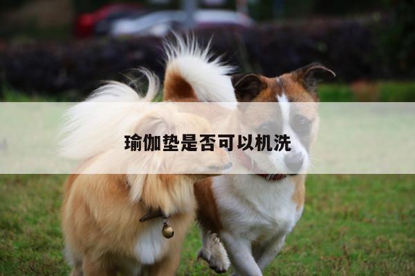 瑜伽垫是否可以机洗