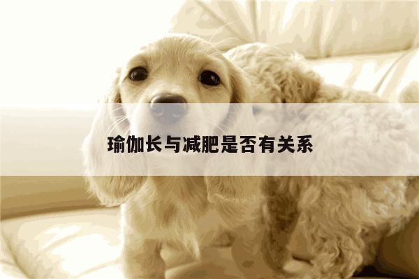 瑜伽长与减肥是否有关系