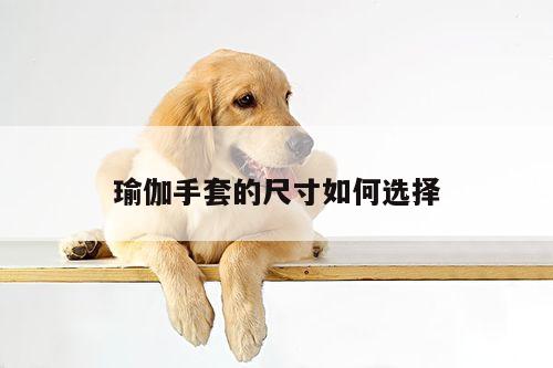 瑜伽手套的尺寸如何选择